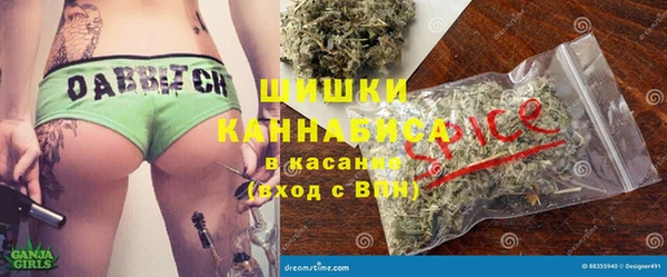 хмурый Сосновка